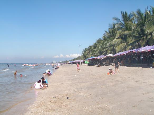 PA230056.jpg